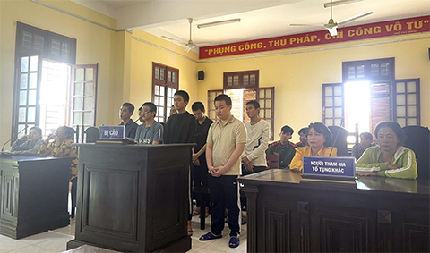 Huyện sơ thẩm tuyên án 49 năm tù cho 9 đối tượng cướp và trộm cắp tài sản.